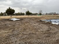 IMG_1184.jpg