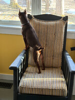 IMG_1153.jpeg