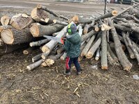IMG_0564.jpeg IMG_0564.jpeg