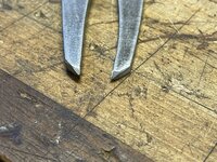 IMG_7069.jpeg
