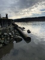 IMG_9859.jpeg