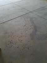 20170405_191141.jpg