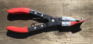 IMG_3104.jpeg IMG_3104.jpeg