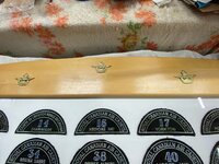 IMG_0417.jpeg