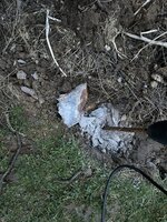 IMG_6123.jpeg