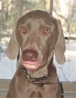 ferrous_lips.jpg