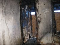 fire2.jpg