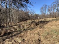IMG_5464.jpeg