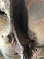 IMG_1438.jpeg