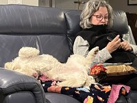 IMG_2018.jpeg