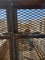 IMG_20240217_161749341_HDR.jpg