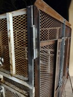 IMG_20240217_194310228.jpg