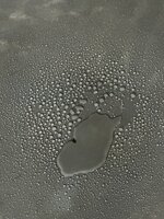 IMG_3277.jpeg