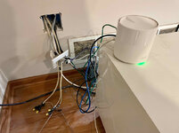 IMG-4731.jpg