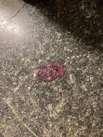 IMG_3579.jpeg