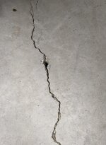 floor11.jpg