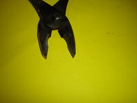 DSC03156.JPG