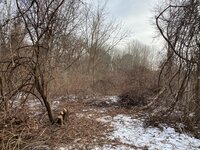 IMG_1162.JPG