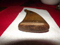DSCF7018.JPG