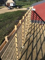 IMG_1805.jpeg