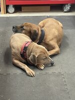 IMG_0122.jpeg