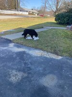 IMG_3722.jpeg