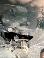 IMG_3353.jpeg