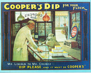 DipR.jpg