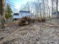 IMG_1983.jpeg