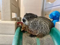 IMG_5850.jpeg