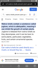 IMG_0832.png