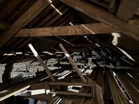IMG_0222.jpeg