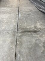 IMG_6644.jpeg