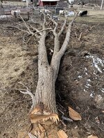 IMG_0824.jpeg