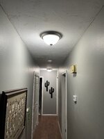IMG_8732.jpeg