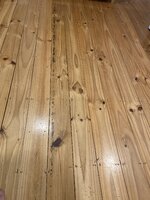 IMG_5150.jpeg