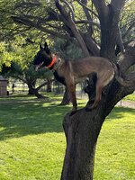 1710541623736.jpeg 1710541623736.jpeg
