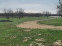 20240317_144942.jpg 20240317_144942.jpg