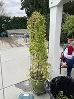 1710714279042.jpeg 1710714279042.jpeg