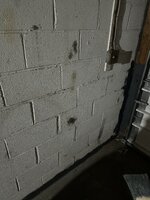 IMG_3045.jpeg IMG_3045.jpeg