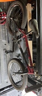 IMG_2401.jpeg