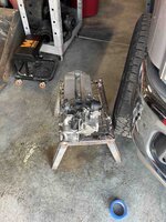 IMG_7237.jpg