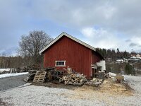 IMG_0411.jpeg