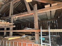 IMG_0401.jpeg