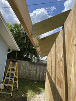 IMG_2315.jpg