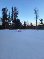 20240324_071132.jpg