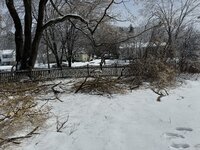 IMG_0322.jpeg