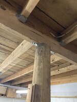 IMG_9497.jpeg IMG_9497.jpeg