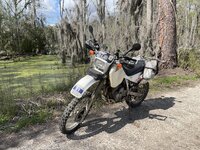 IMG_1472.jpeg