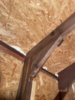 IMG_1518.jpeg